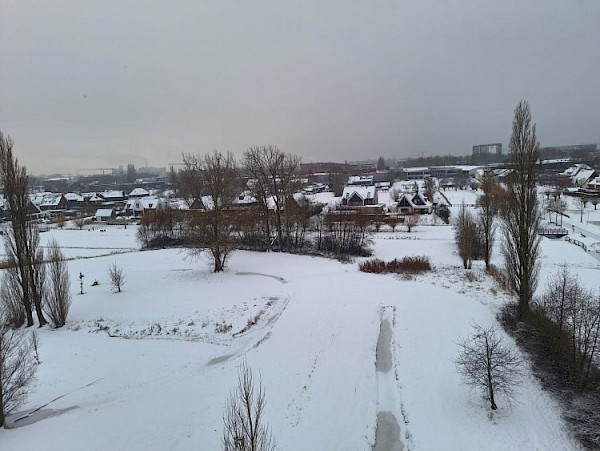 Winters begin 2026 in Papendrecht