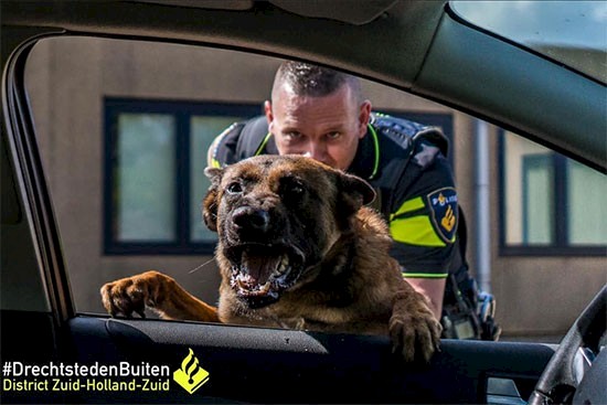 Nachtelijke achtervolging eindigt in aanhouding op Platanenlaan