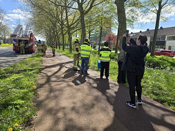 Dubbele reddingsactie kat aan J.P. Thorbeckesingel