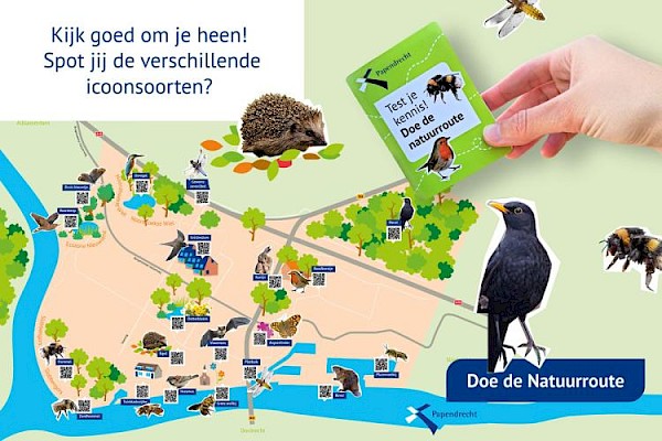 Herontdek Papendrecht: Doe de natuurroute