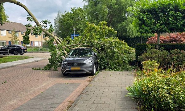 Grote tak breekt af en belandt op auto aan Henri Dunantsingel