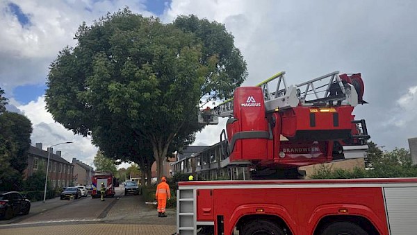 Brandweer verwijdert gevaarlijke takken na stormschade in Klaproosstraat