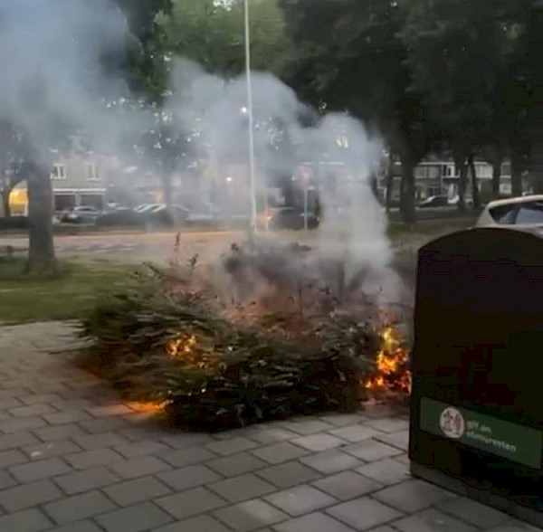 Jongeren steken plantsoen in brand aan Jacob van Ruysdaelstraat
